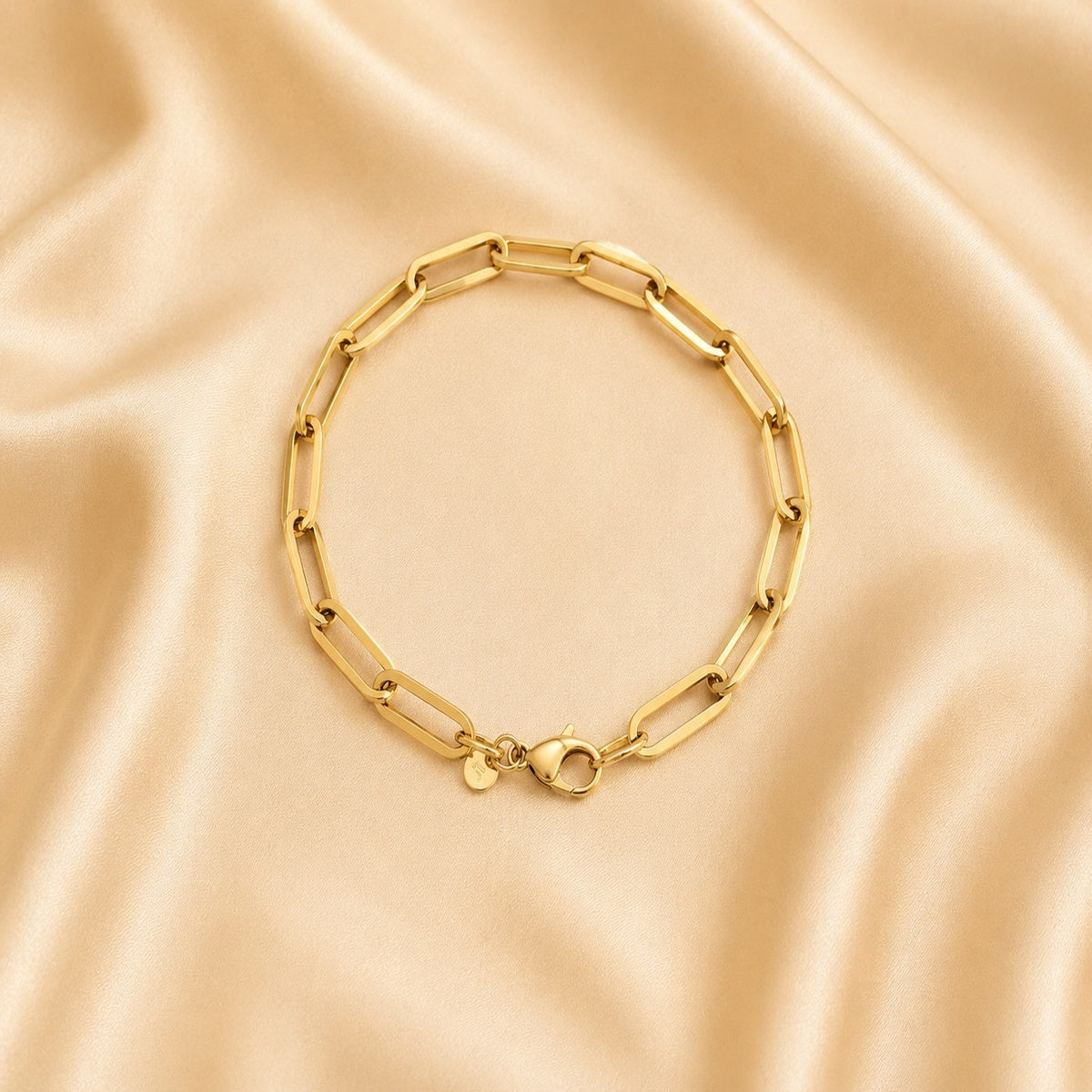 Manilla Paper Clip oro 10K
